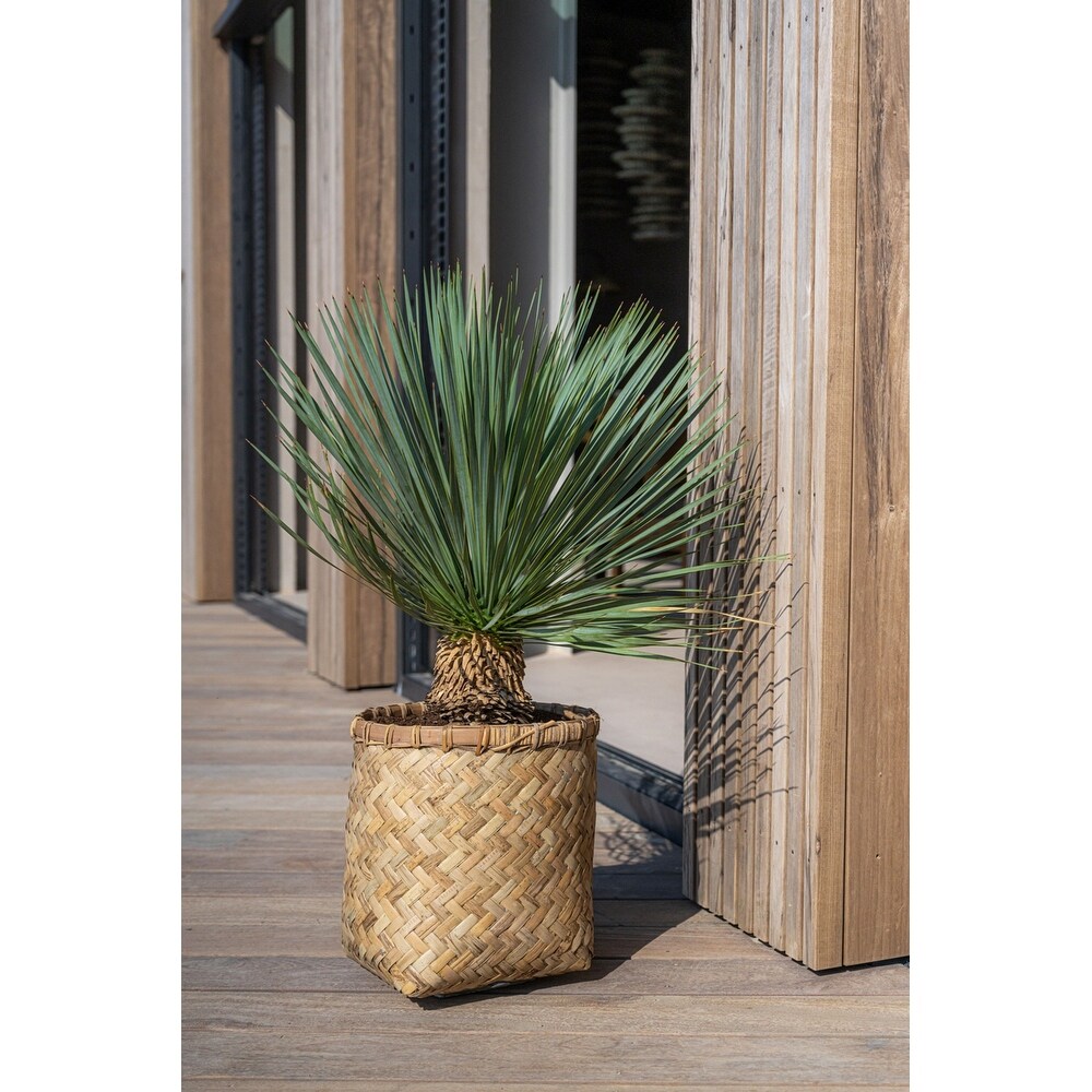 Pottery Pots Zayn Bamboo Indoor Outdoor Round Planter  Natural Finish
