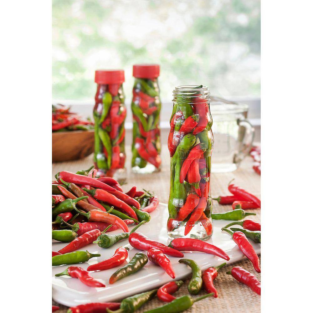 Bonnie Plants 19 oz. Dragon Hot Cayenne Pepper Plant 2202