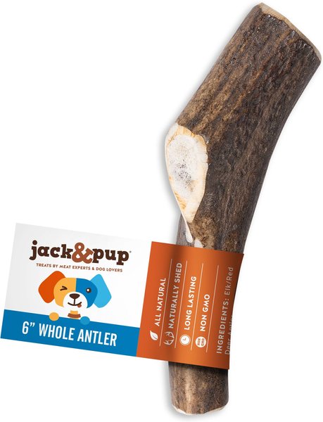 Jack and Pup Medium Whole Elk Antler Thick Dog Chew Treats， 6-in