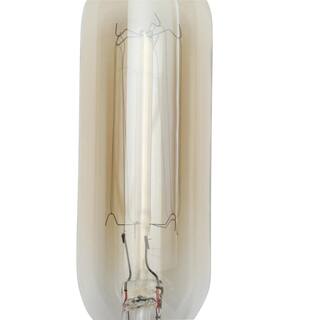 Titan Lighting Ogden Collection 40-Watt Incandescent T6 Candelabra Filament Light Bulb - Vintage Style Light Bulb TN-38005