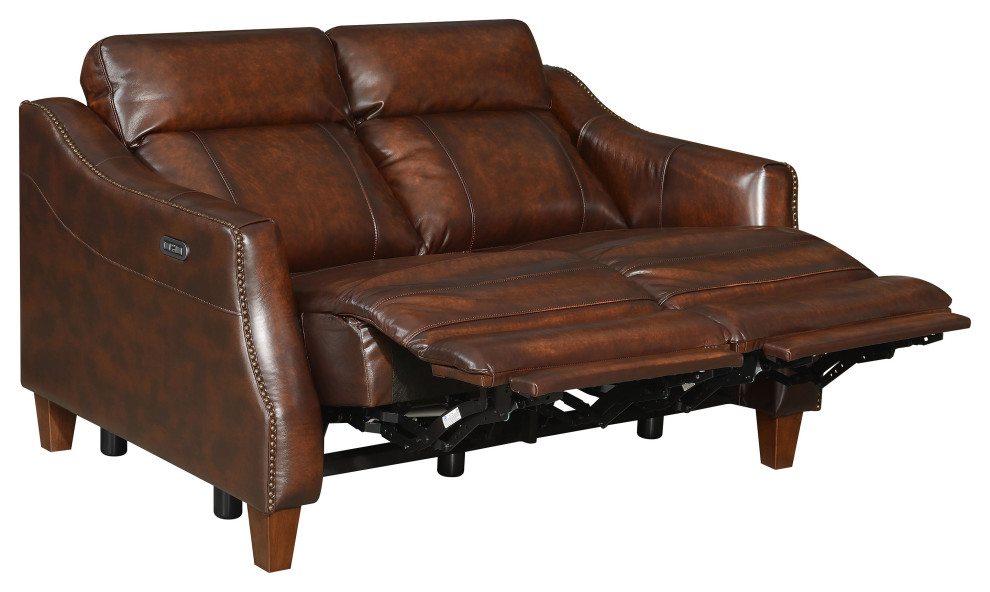 Akari Power Reclining Loveseat   Transitional   Loveseats   by HedgeApple  Houzz