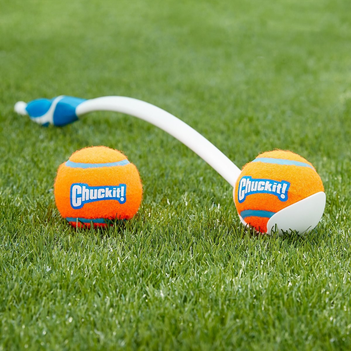 Chuckit! Double Pack Dog Tennis Ball Dog Toy