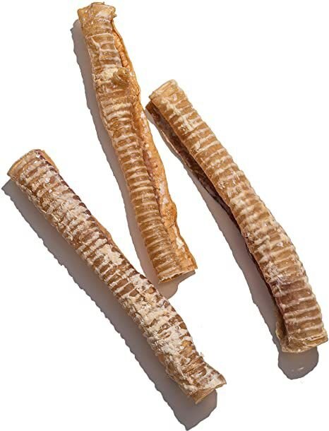 Jack and Pup Beef Trachea 12-in Dog Treats， 3 count