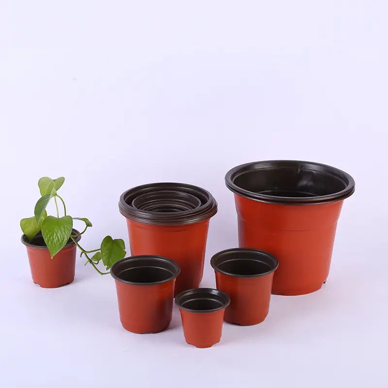 WY fleshy flowerpot green plant gardening supplies soft suction plastic PP simple nursery pot plastic two color flower pot