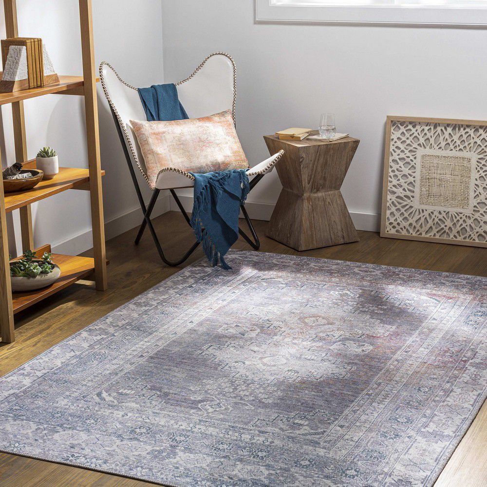 McCordsville Traditional Washable Area Rug