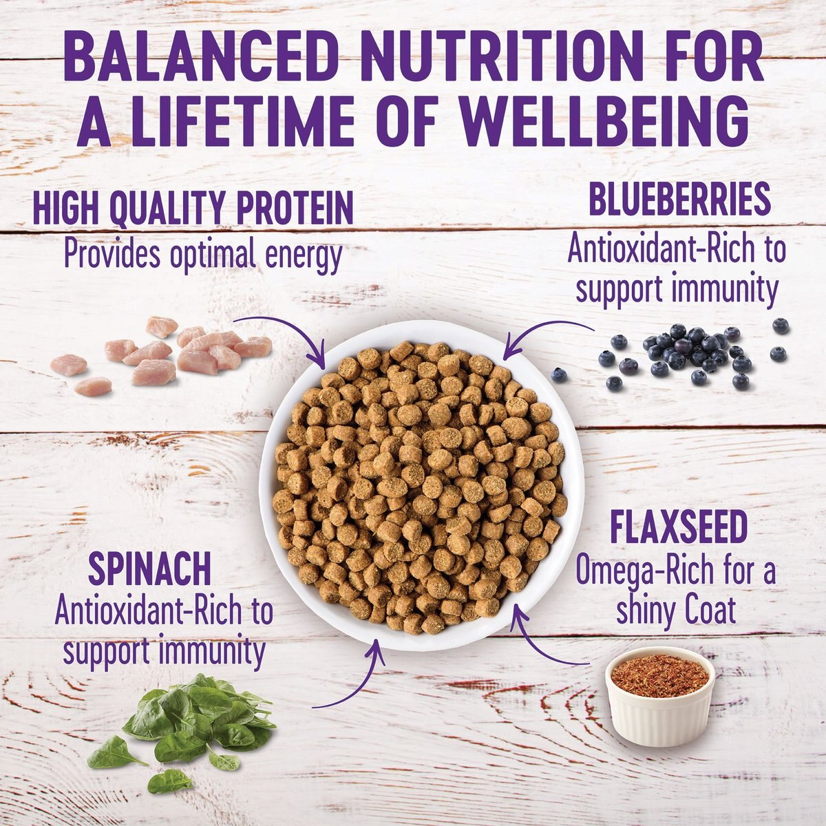 Wellness Small Breed Complete Health Puppy Turkey， Oatmeal and Salmon Meal Recipe Dry Dog Food