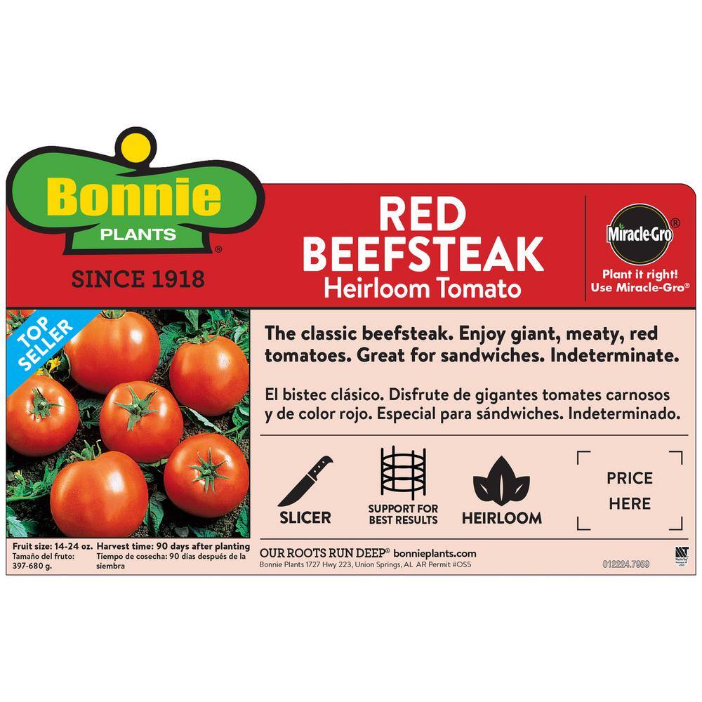Bonnie Plants 1.19 qt. Red Beefsteak Heirloom Tomato Plant (6-Pack) 0216