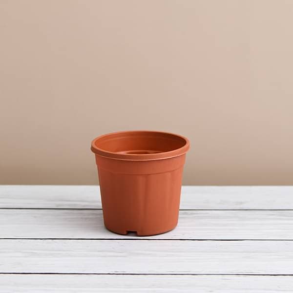 6 inch (15 cm) Grower Round Plastic Pot (Terracotta Color) (set of 6)