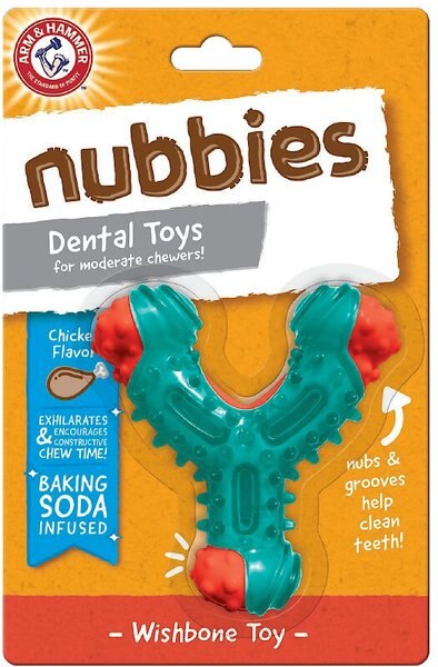 Arm and Hammer Nubbies WishBone Dental Dog Toy