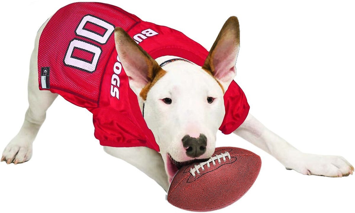 Pets First NCAA Dog and Cat Jersey， Georgia Bulldogs