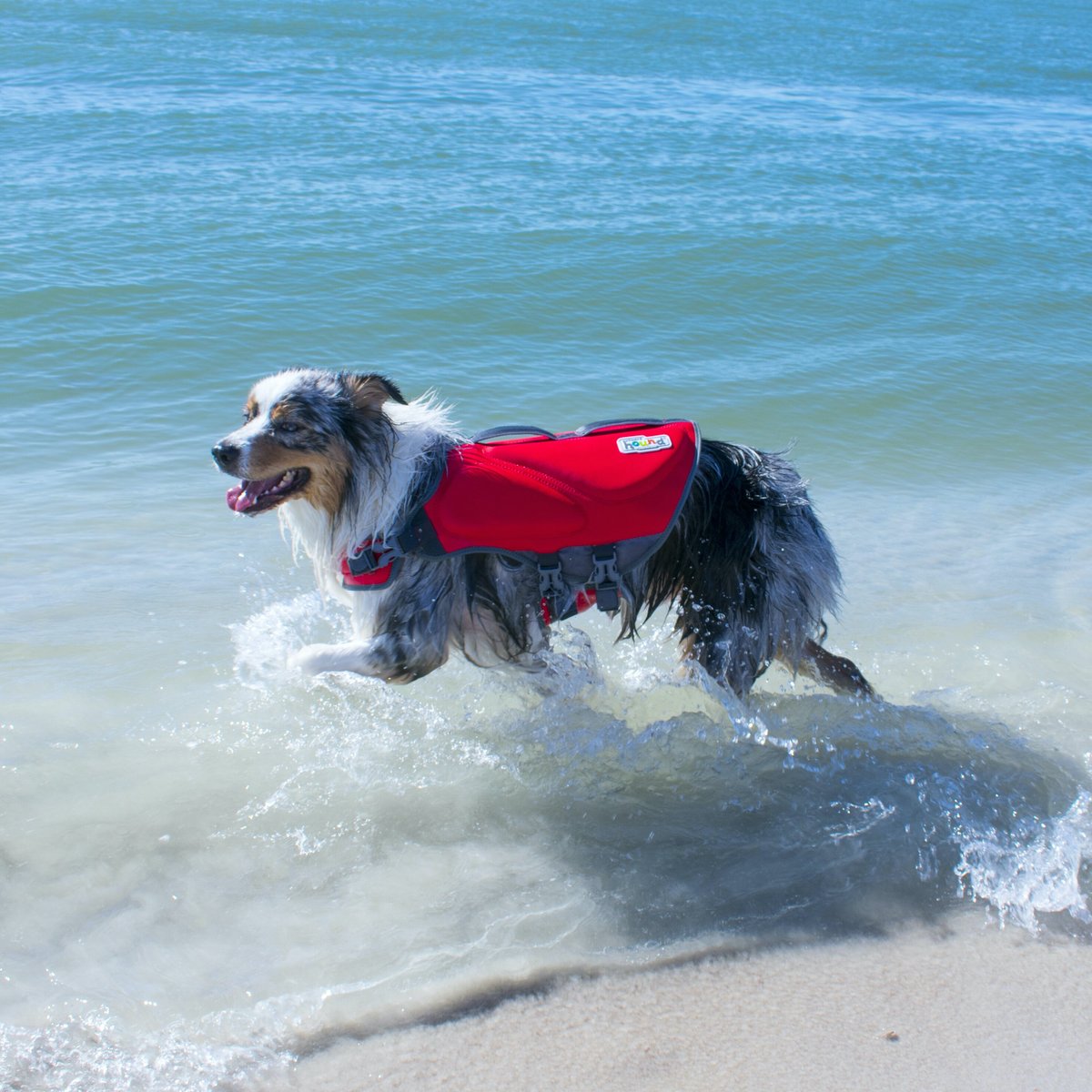 Outward Hound Neoprene Dawson Swimmer Dog Life Jacket