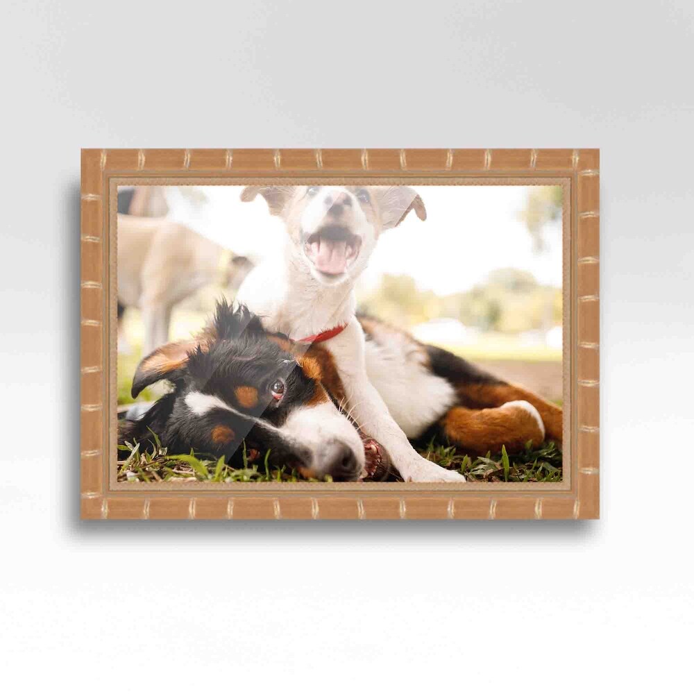 4x12 Picture Frame   Contemporary Picture Frame Complete With UV