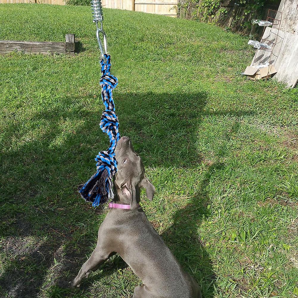 Spring pole dog rope toy