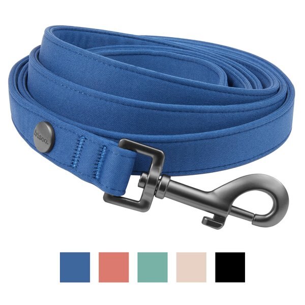 Frisco Comfort Padded Dog Leash