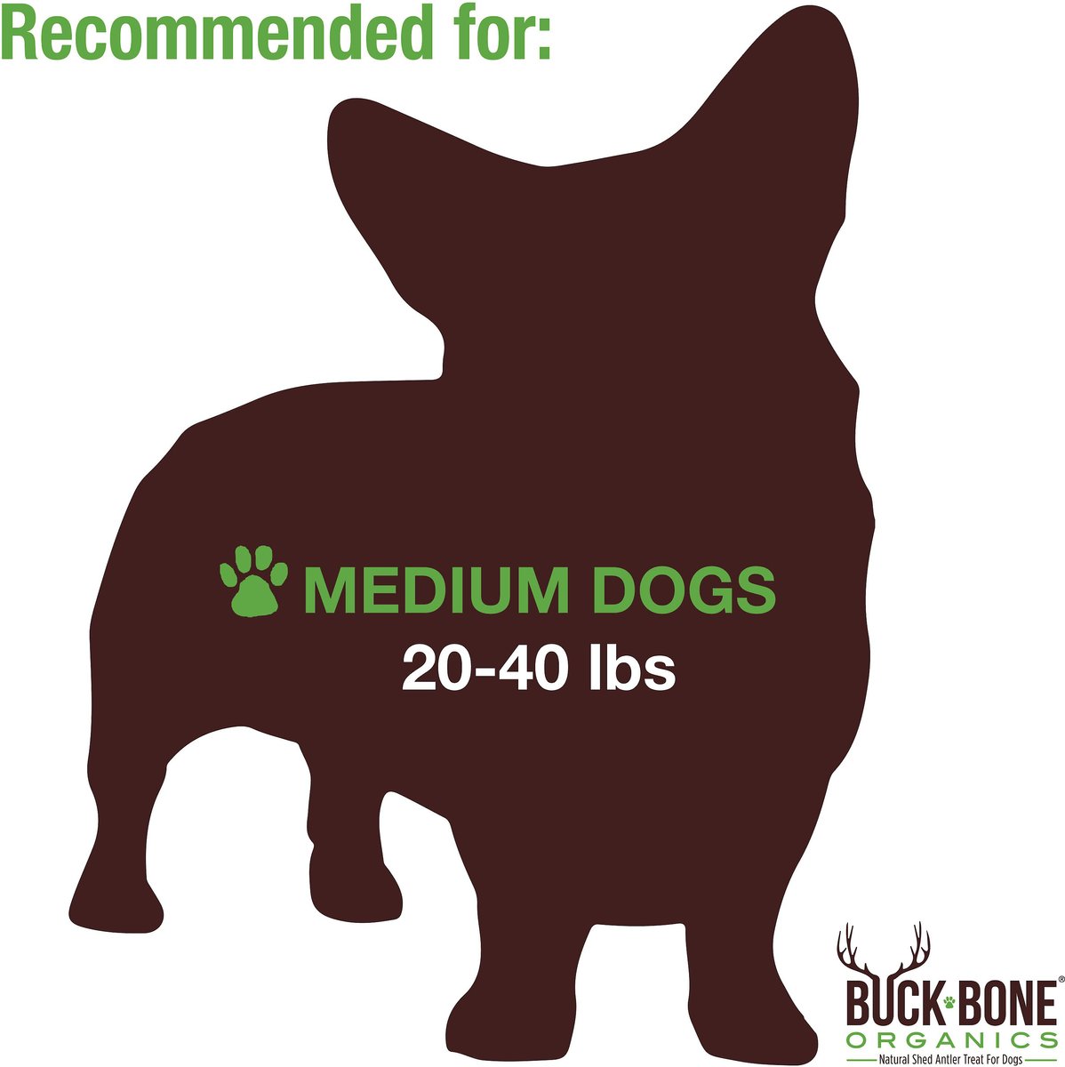 Buck Bone Organics Moose Antler Dog Treats， Medium