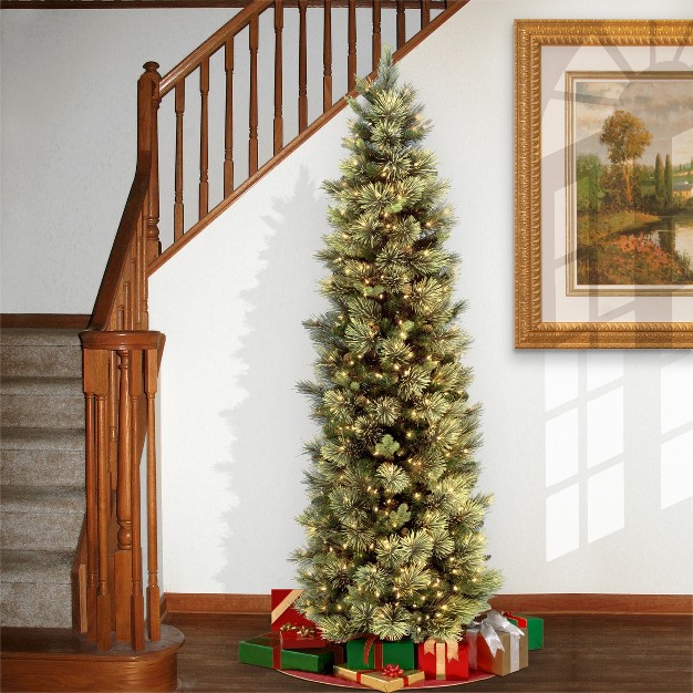 National Tree Company 6.5 Ft. Carolina Pine Slim Tree With Clear Lights