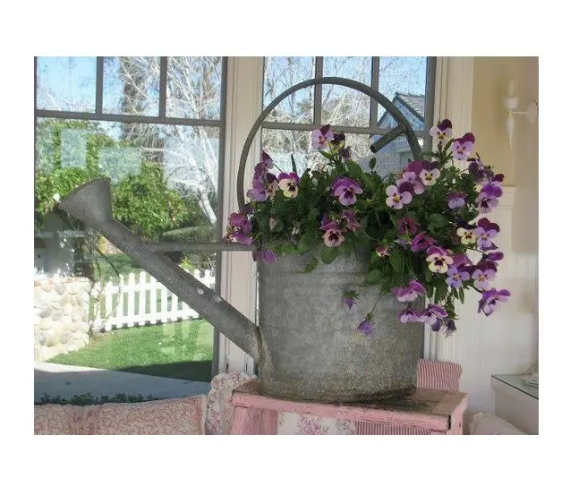 Eco Friendly Iron Galvanized Water Can Handmade Best Water Can Low Price Garden Supplies Watering Can Exclusive Quality