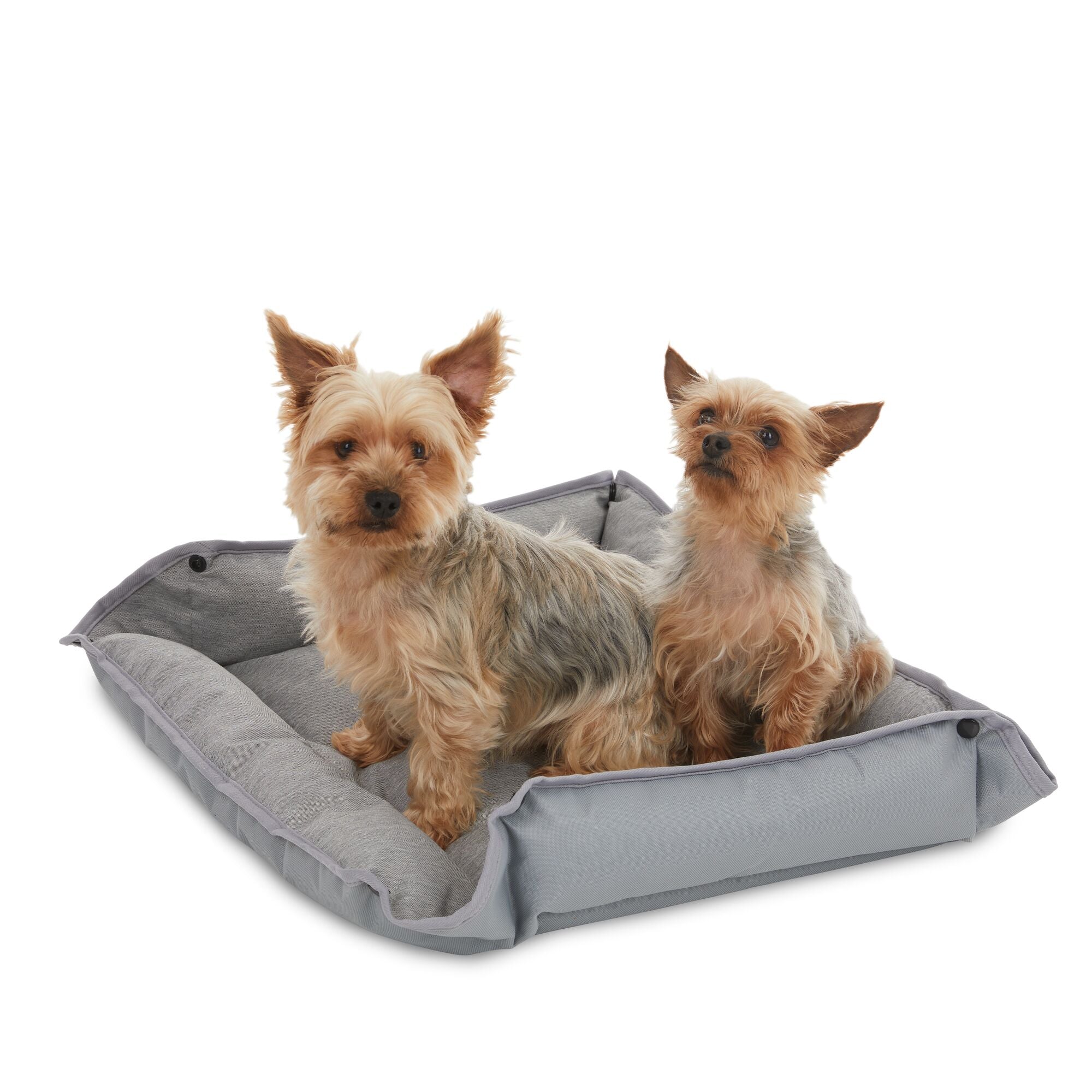 Four Way Pet Bed for Medium Dogs 24X20X3 In, Grey