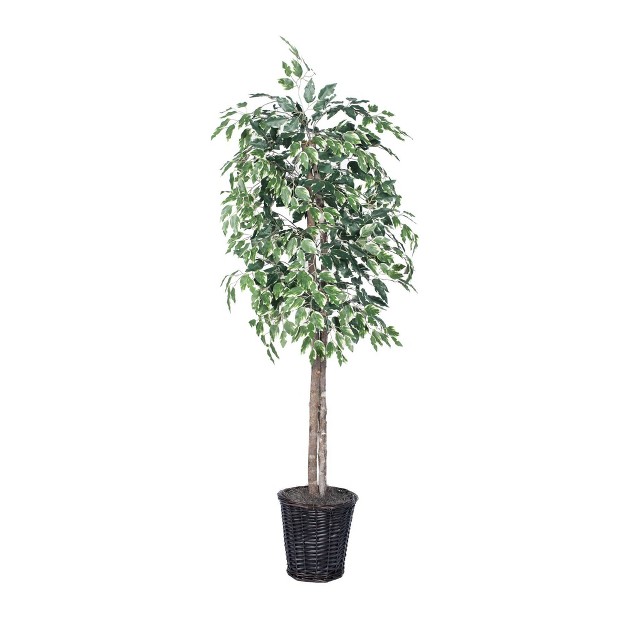 Artificial Variegated Ficus Tree (6