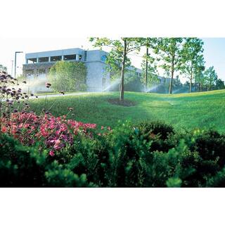 Rain Bird 4 in. Pop-Up Adjustable Pattern Non-potable Sprinkler with Purple Cap 1804APNP