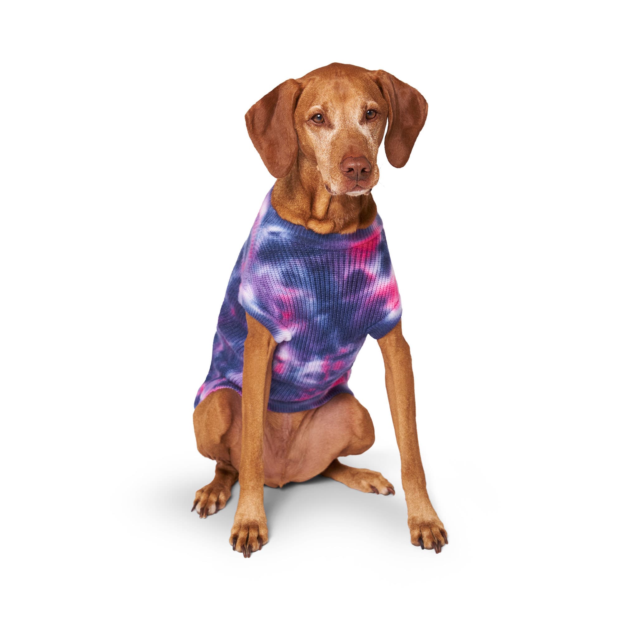 CANADA POOCH Purple Wild Side Dog Sweater， XX-Large