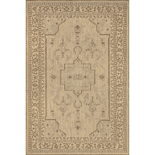 Nuloom Candace Traditional Vintage Indoor outdoor Area Rug