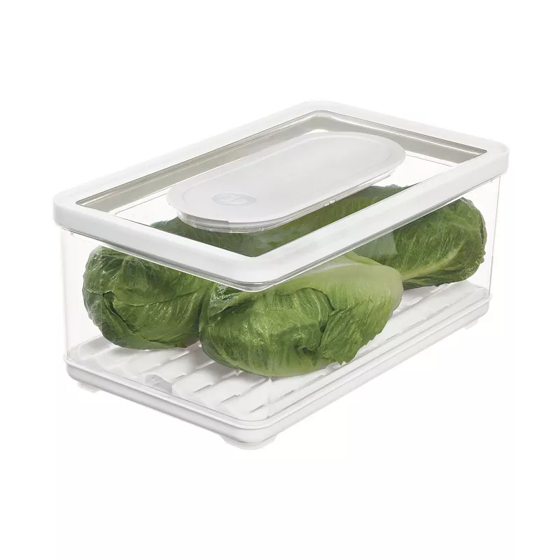 iDesign iDFresh Large Produce Storage Bin