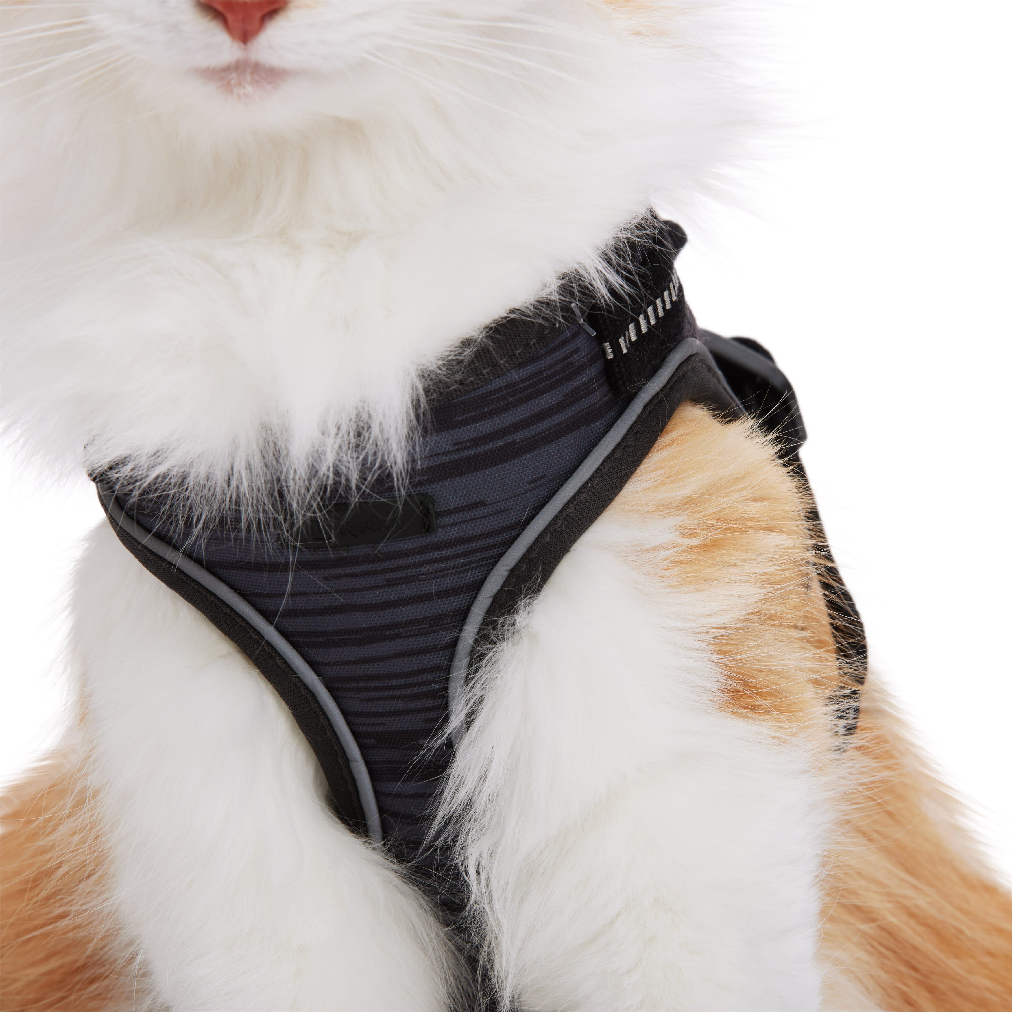 Reddy Grey Cat Harness Set， Small/Medium