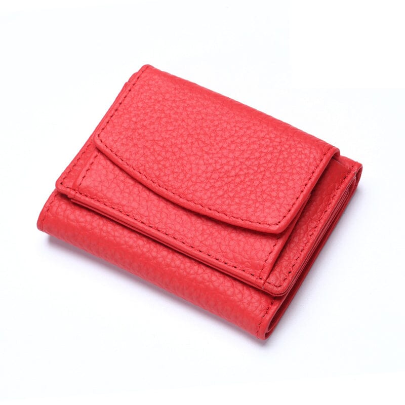 RFID Blocking Card Holder Organizer Pocket Mini Wallet