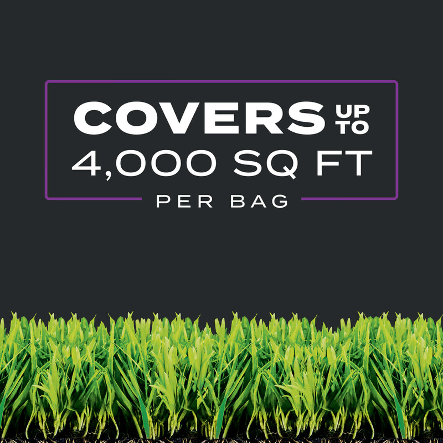 Scotts Turf Builder Southern Weed and Feed Lawn Fertilizer For Multiple Grass Types 4000 sq ft