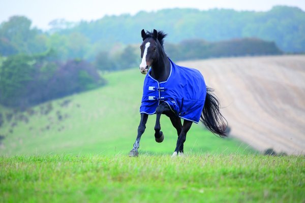 Shires Equestrian Products Tempest Plus Lite TU Horse Blanket