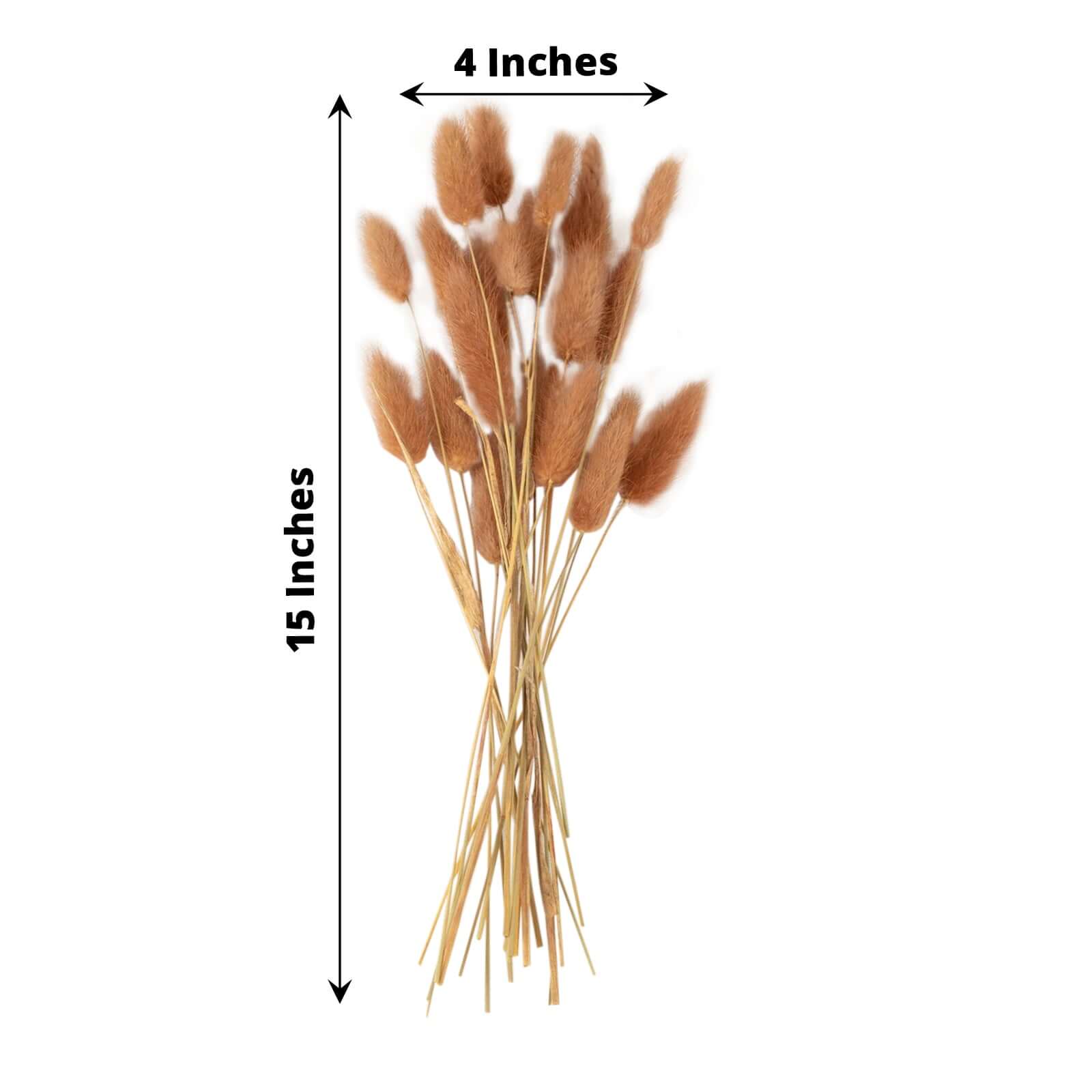 50 Pack Brown Rabbit Tail Dried Pampas Grass Flower Bouquets, Boho Stem Arrangements 15