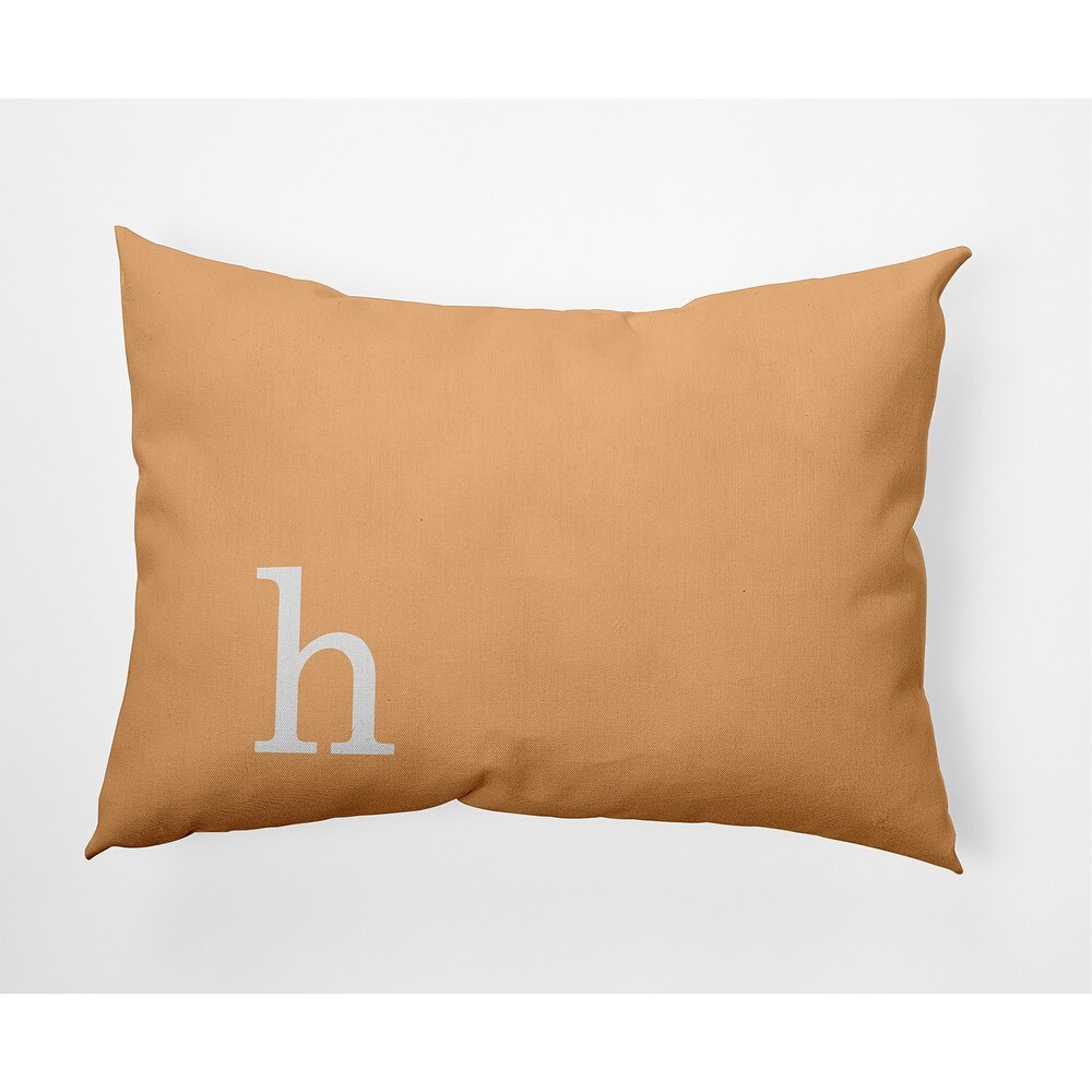 Modern Monogram Indoor/Outdoor Throw Pillow H