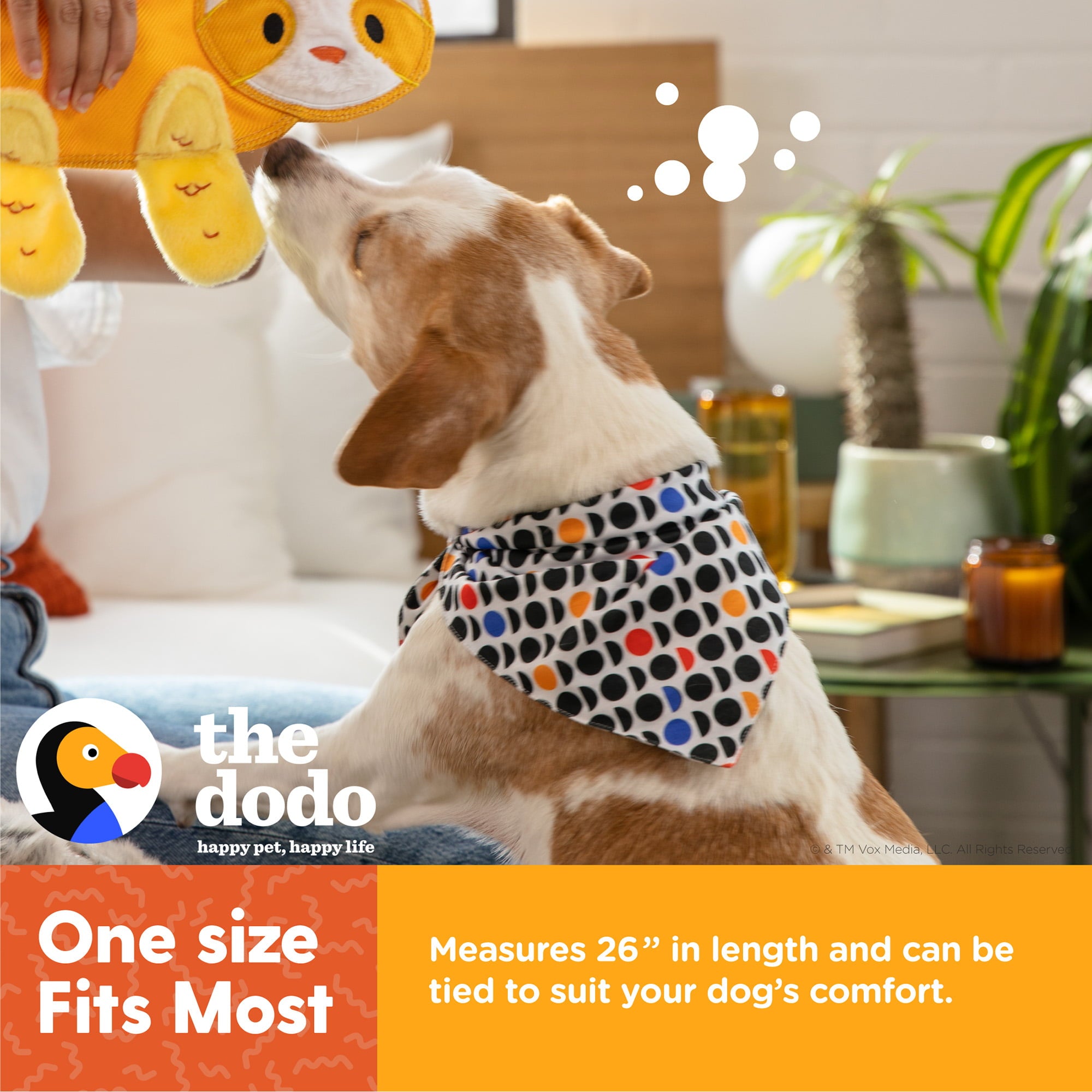 The Dodo Pet Bandanas Everyday Pet Apparel， Cute Doggy Clothes Tie-on One Size