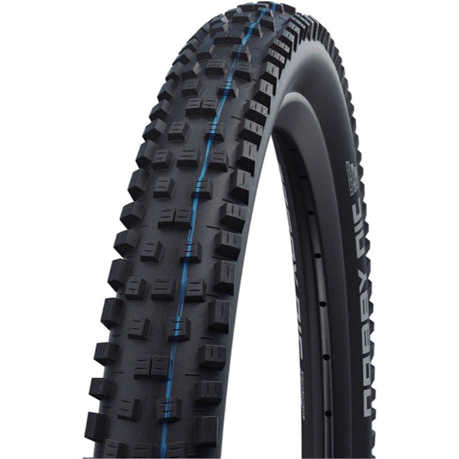 Schwalbe Nobby Nic Evolution 29