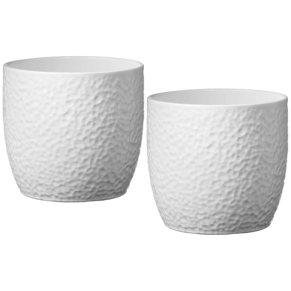 SK 6.3 in. (16 cm) Ceramic Boston Matte White (2-Pack) 004990160847