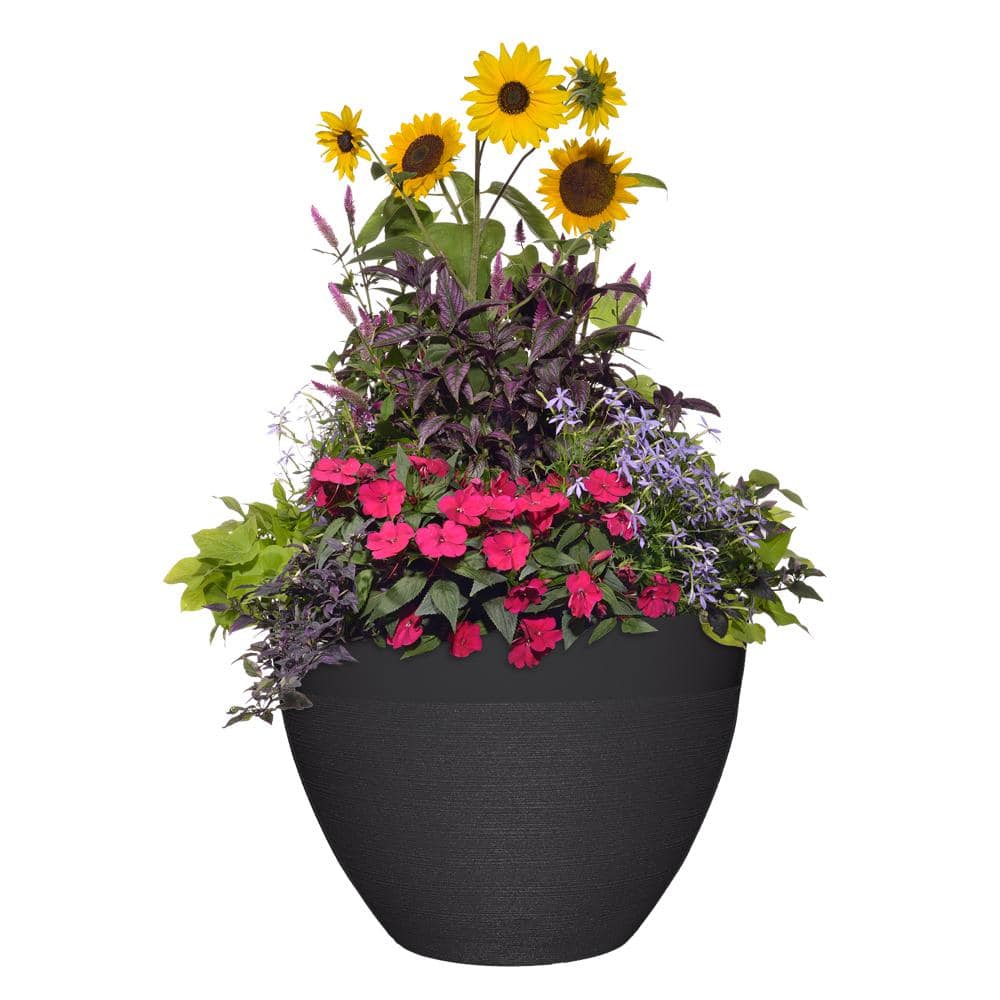 Classic Home and Garden 22 in. Decatur Black Resin Planter HD1330-001S