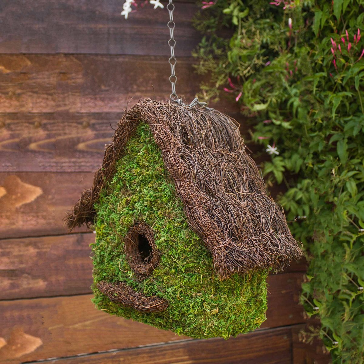 Galapagos Maison Woven Birdhouse， Fresh Green