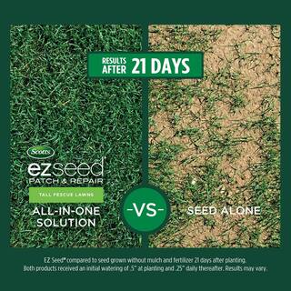 Scotts 40 lbs. EZ Seed Patch  Repair Tall Fescue Lawns Mulch Grass Seed and Fertilizer Combination 17480