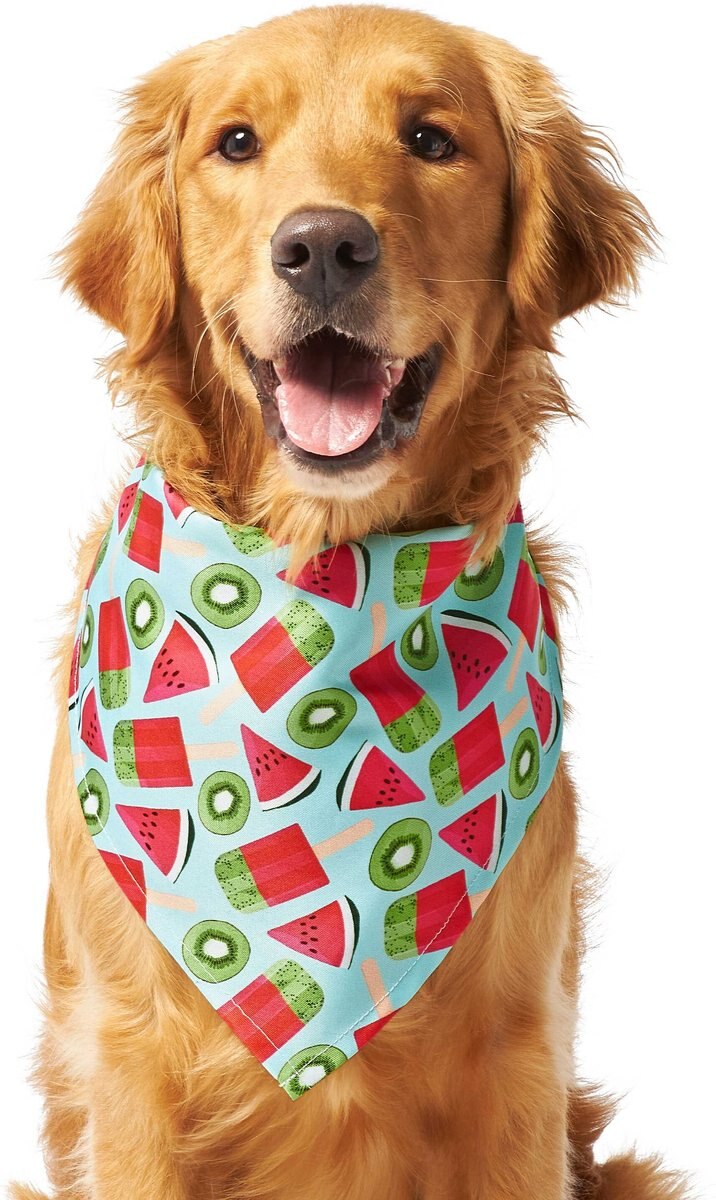 Frisco Fruity Summer Dog and Cat Bandana