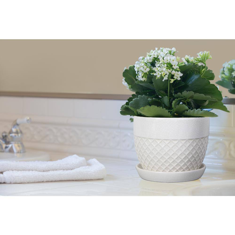 Trendspot 6 in. White Acorn Ceramic Planter CR10732S-060W2