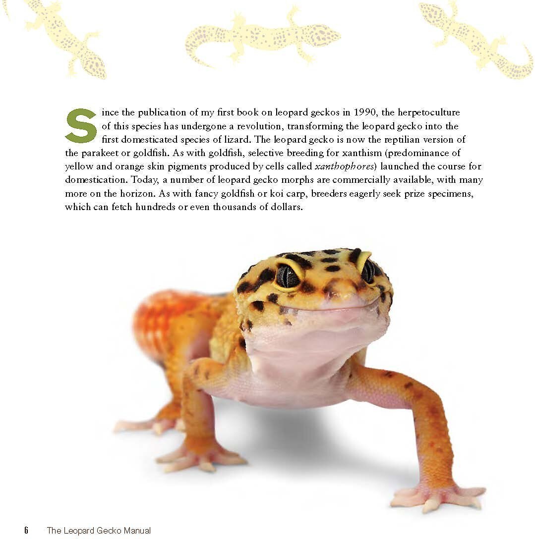 Leopard Gecko Manual