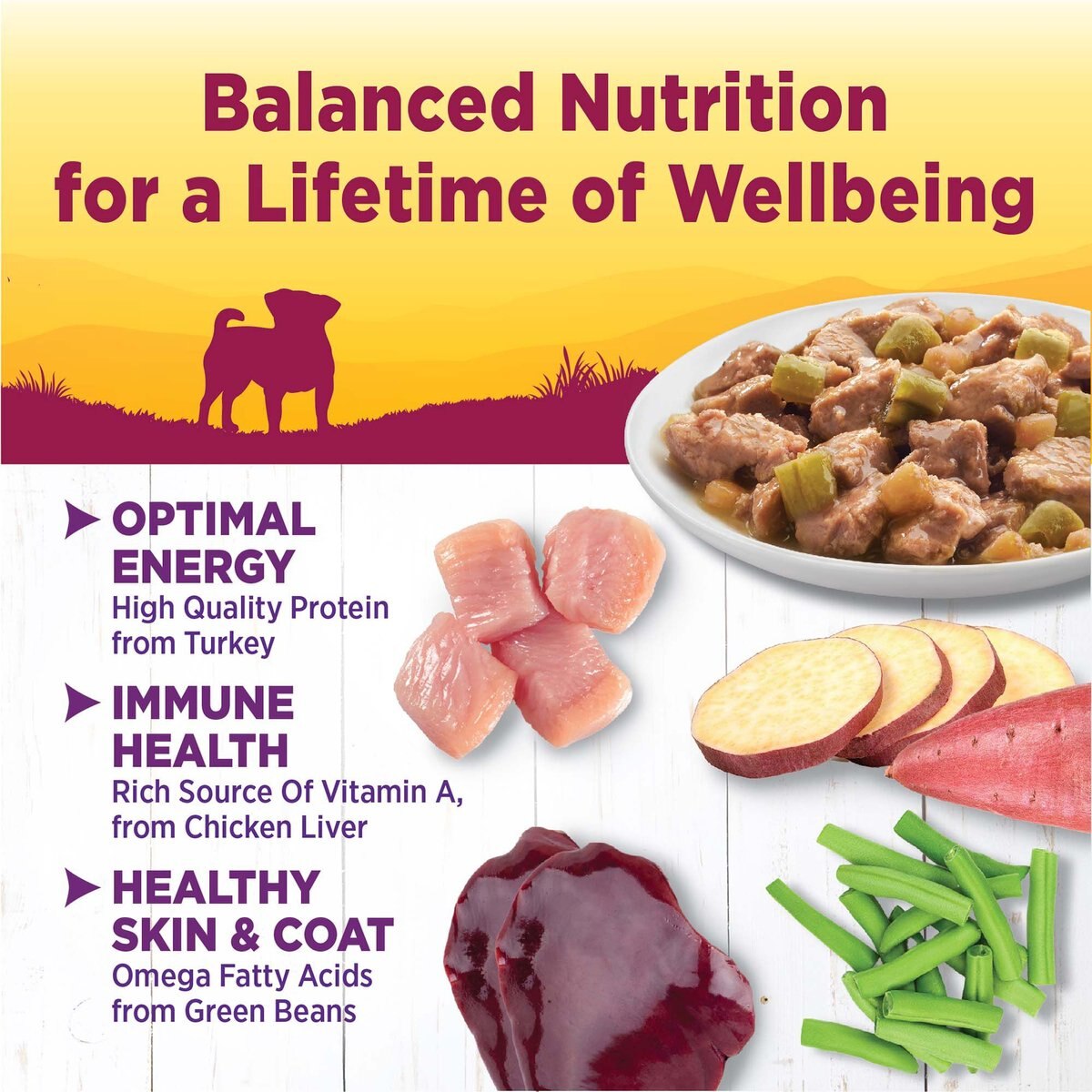 Wellness Petite Entrees Mini-Filets with Tender Turkey， Green Beans and White Sweet Potatoes in Gravy Grain-Free Wet Dog Food