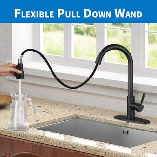 ruiling Modern Single-Handle Pull-Down Sprayer Kitchen Faucet with Lead-free in Stainless Steel Matte Black ATK-103-1