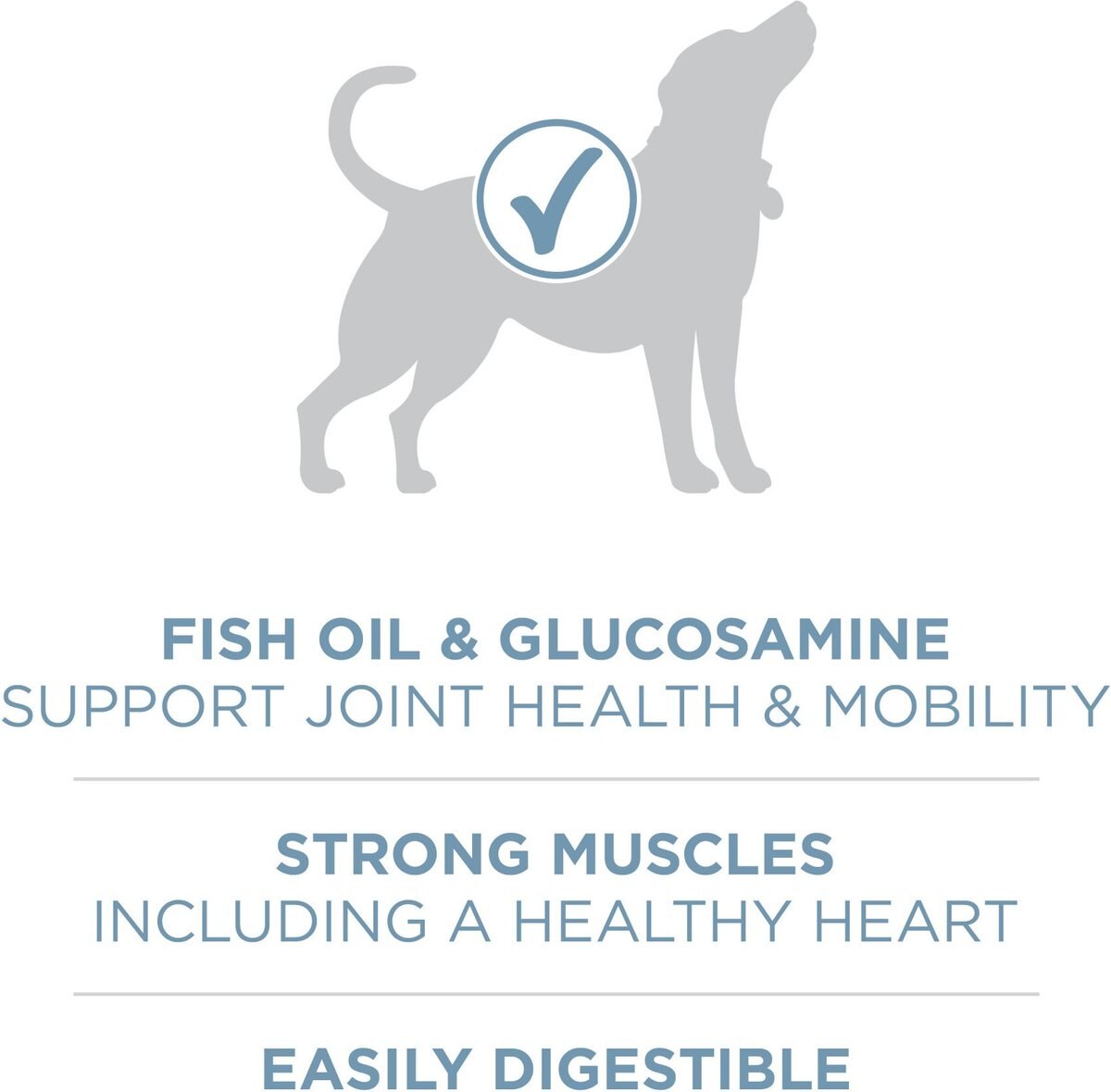 Purina ONE +Plus Adult Joint Health Formula Dry Dog Food