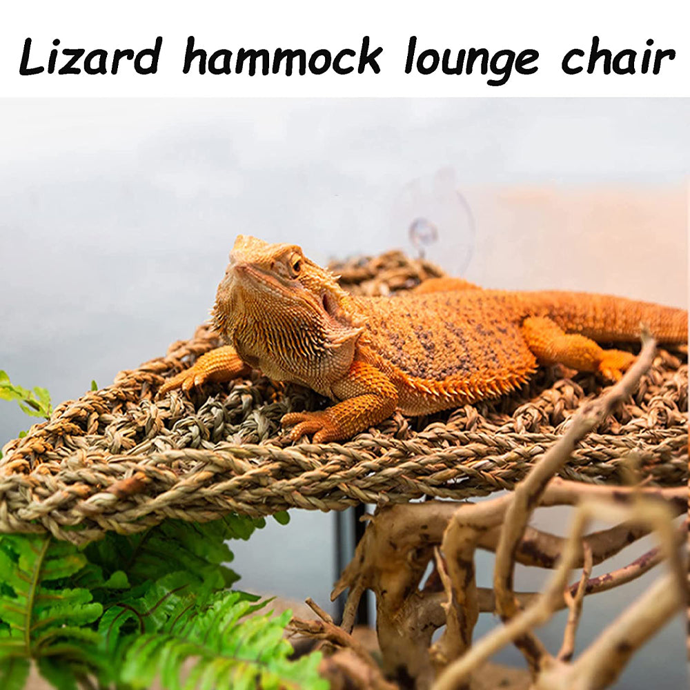 Ugerlov Bearded Dragon Hammock Set，Lizard Lounger Hammock，100% Natural Seagrass Fibers Hammock for Reptiles，Reptile Leaves Decor Accessories for Chameleon，Lizards，Gecko，Snakes