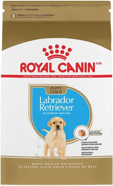 Royal Canin Breed Health Nutrition Labrador Retriever Puppy Dry Dog Food