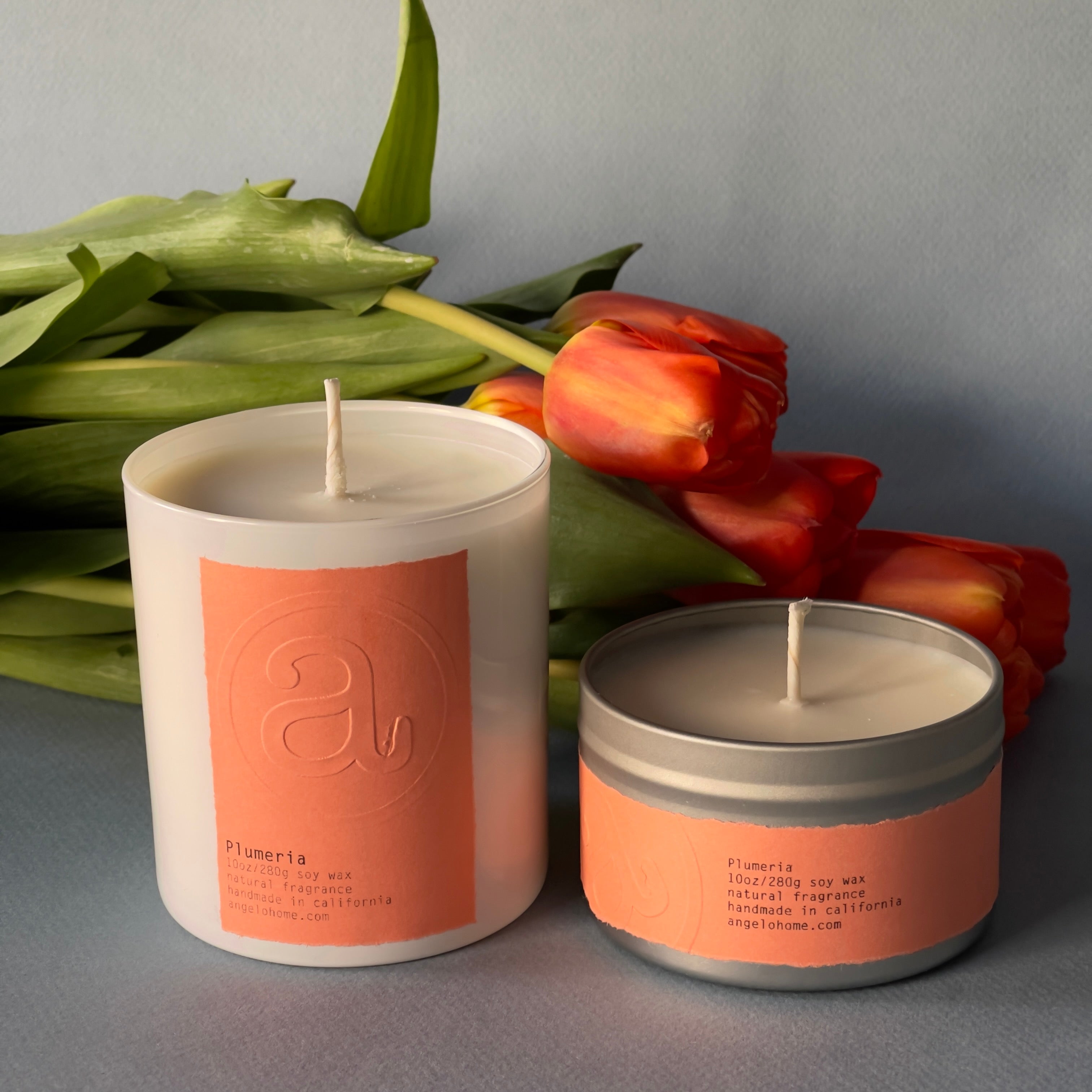 angelo:HOME Plumeria Blooms Scented Candle