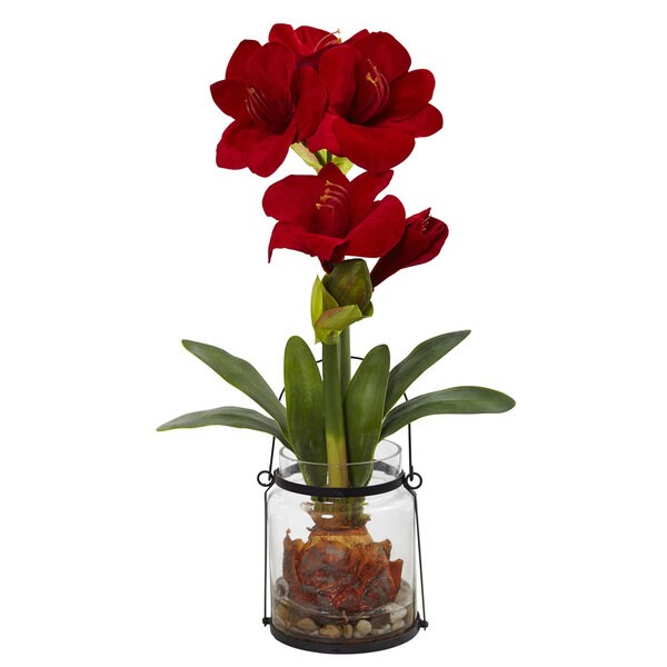 24inch Amaryllis w/Vase