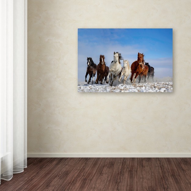 Trademark Fine Art libby Zhang x27 mongolia Horses x27 Canvas Art